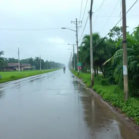Dicas Essenciais para Aproveitar a Temporada de Chuvas em Belford Roxo